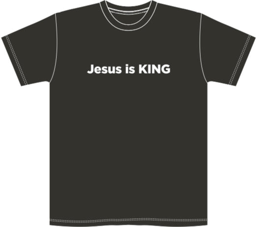 Jesus Is King Short Sleeve Shirt - American Flag